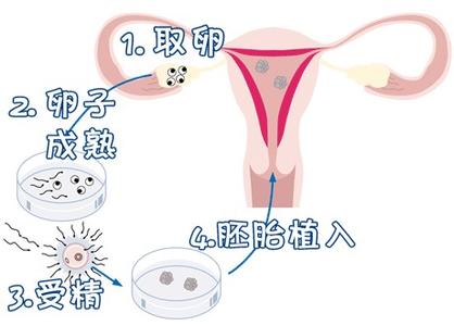 蘇懷安